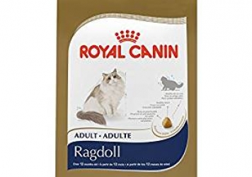 ROYAL CANIN Breed Health Nutrition Ragdoll Cat Food