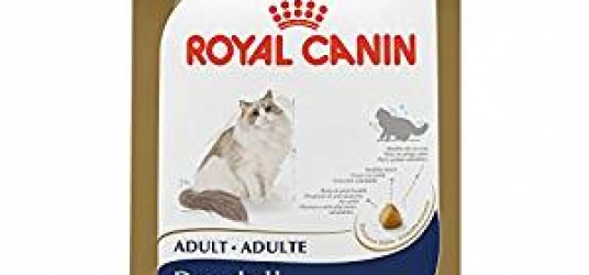 ROYAL CANIN Breed Health Nutrition Ragdoll Cat Food