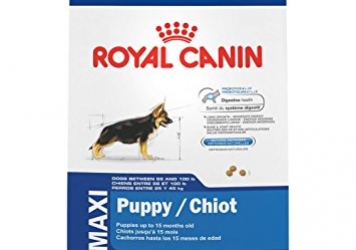 Royal Canin Maxi Puppy Dog Food