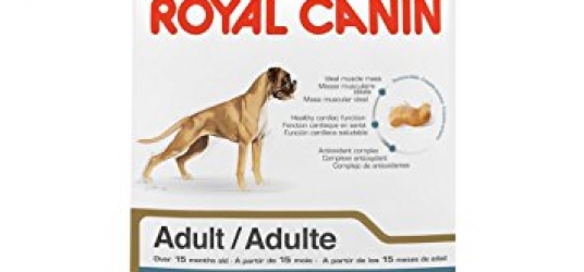 Boxer Puppy  Dog Food