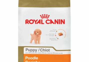 Poodle Puppy Dog Food Poodle Puppy Dog Food