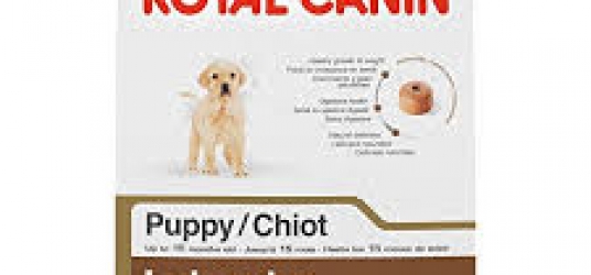 Labrador Retriever Puppy Dog Food