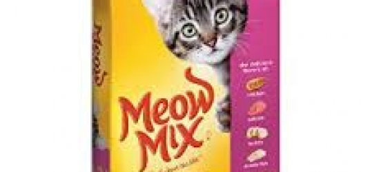 Meow Mix Kitten