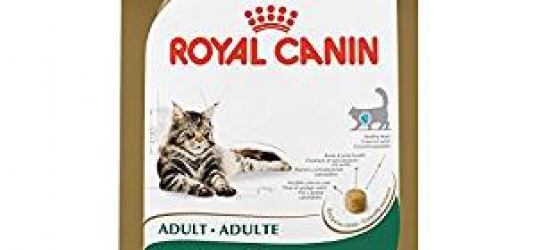 ROYAL CANIN Breed Health Nutrition Maine Coon Cat Food