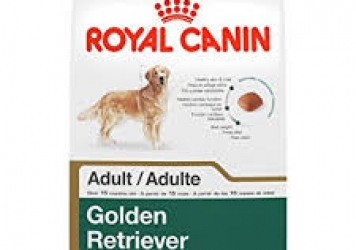 Golden Retriever Adult Dog Food