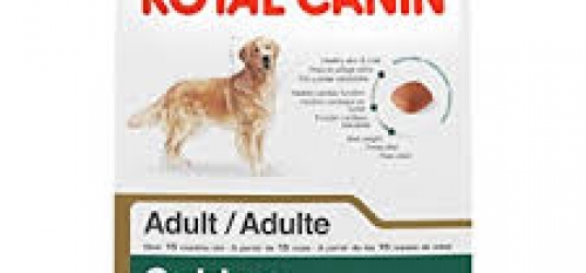 Golden Retriever Adult Dog Food Golden Retriever Adult Dog Food