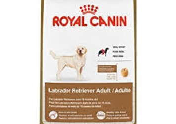 Labrador Retriever Adult Dog Food Labrador Retriever Adult Dog Food
