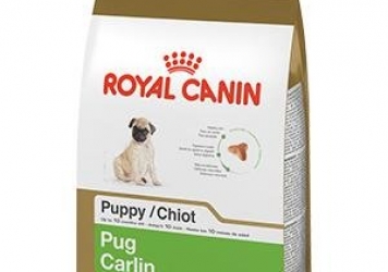 Pug Puppy Dry Dog Food