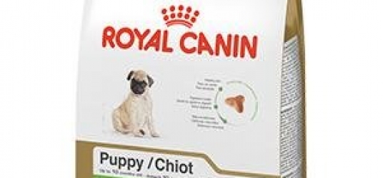 Pug Puppy Dry Dog Food