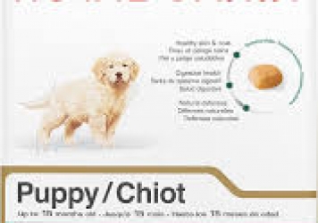 Golden Retriever Puppy Dog Food Golden Retriever Puppy Dog Food