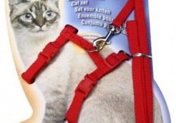 Full Body Harness Cat Full Body Harness Cat