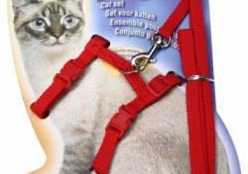 Full Body Harness Cat