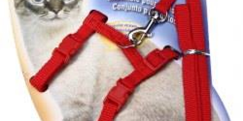 Cat-harness-1.jpg