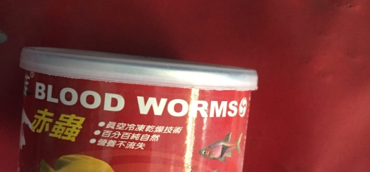 Blood Worms