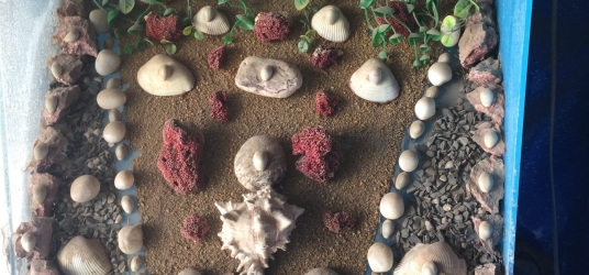 Aquarium Gravels Aquarium Gravels