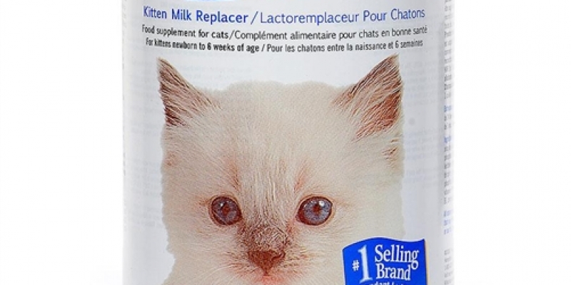 KMR-milk-for-cats.jpg
