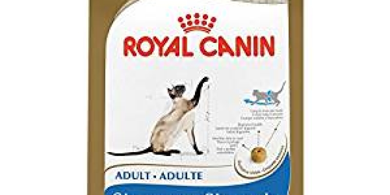 Siamese-Cat-Food-1.jpg