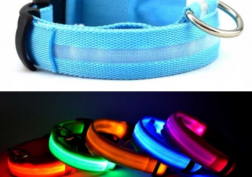 LED Lights Collar LED Lights Collar