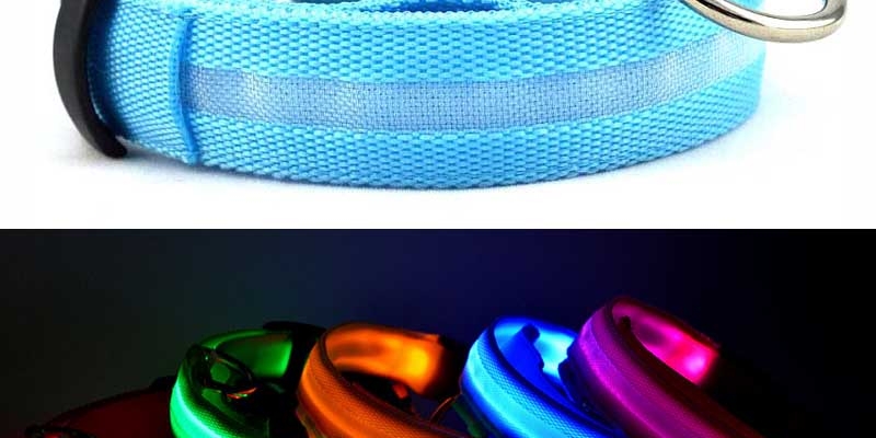 cat-Collar-lights.jpg