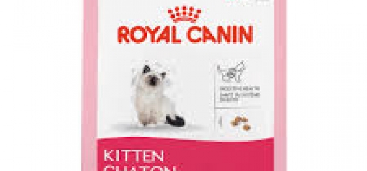 Royal Canin Kitten Cat Food