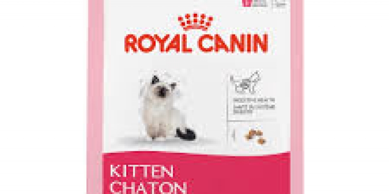 cat-food-1-1.jpeg