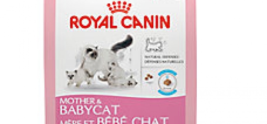Royal Canin Mother & Baby Cat Food