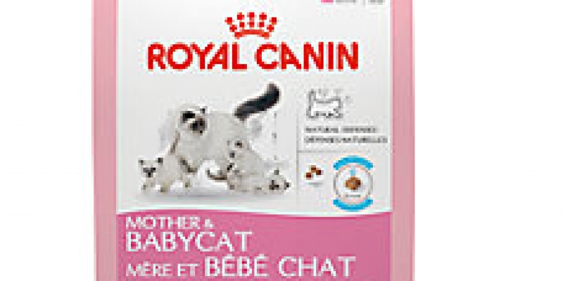 cat-food-2-1.jpeg