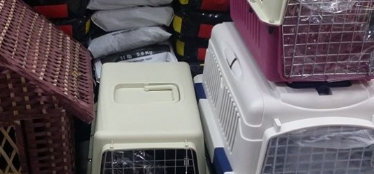Cats & Dogs Jet Boxes