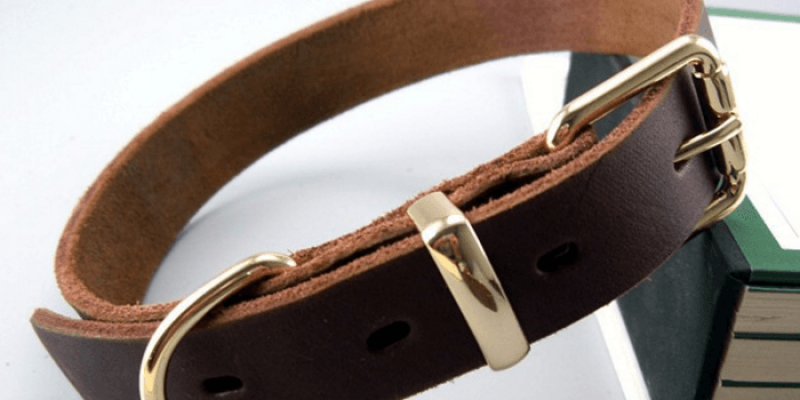leather-leashes.png