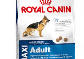 Royal Canin Maxi Adult Food Royal Canin Maxi Adult Food