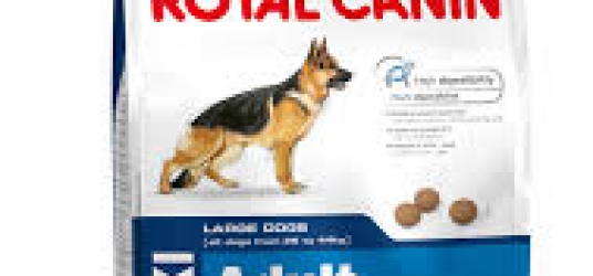 Royal Canin Maxi Adult Food Royal Canin Maxi Adult Food