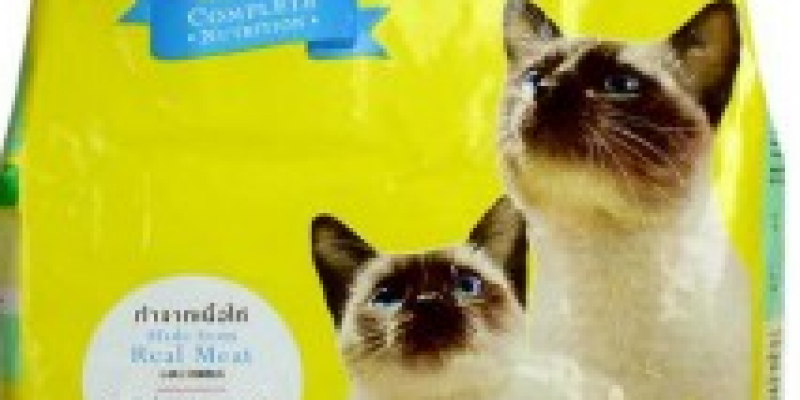 meo-cats-1.png