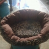 pets-beds.jpg