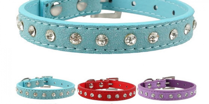 pin-collar.jpg