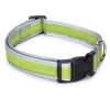 reflective-green-1.jpg