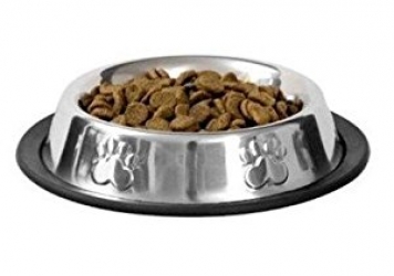 Stainless Steel   Colour Food Bowls for Pets Stainless Steel   Colour Food Bowls for Pets
